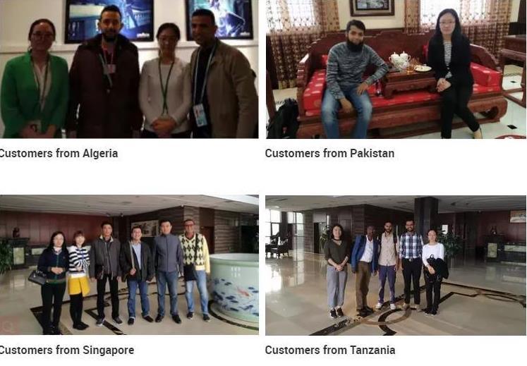 Sy295 Material Customized Larsen Steel Sheet Pile 700mm X 225mm